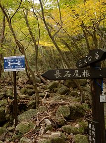 写真6 道標 写真6