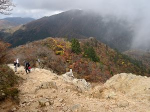 写真10 県境尾根の登山道 写真10