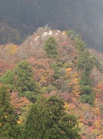 写真11 県境尾根の岩頭 写真11