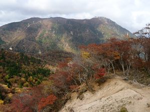 写真15 写真15