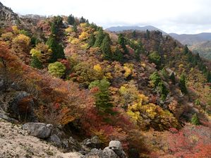 写真16 写真16