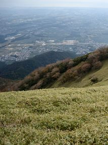 写真7 山頂から二本松尾根 写真7