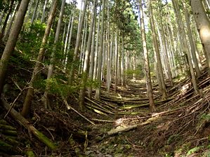 写真11 通報ポイント4~3 写真11