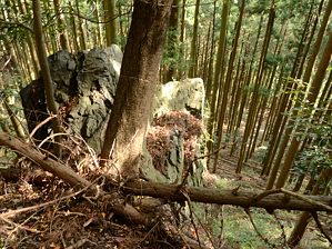 写真2 石神のイワクラ頂部 写真2