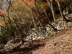 写真10 井戸谷にて 写真10