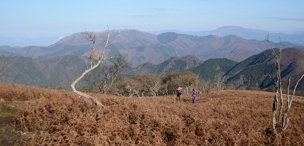 写真1 県境尾根にて、背後は霊仙山と伊吹山 写真1