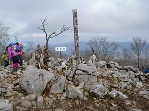 写真9 写真9