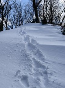 写真8 雲母峰第2峰 写真8