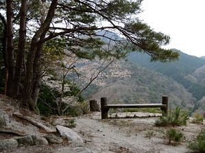 写真10 写真10