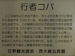 写真9 行者コバ 写真9