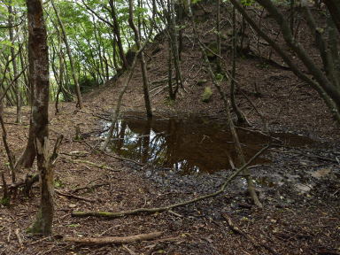 写真3 カクレ谷側の池 写真3 カクレ谷側の池