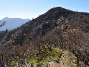 写真11 猫岳 写真11 猫岳