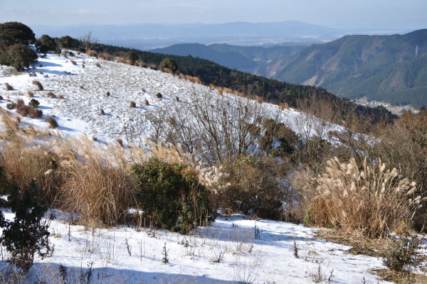 写真1 能登ヶ峰 シカの楽園 写真1 能登ヶ峰 シカの楽園