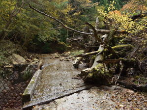 写真2 那須ヶ原林道の橋を渡る 写真2 那須ヶ原林道の橋を渡る