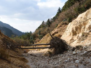 写真12 坂下峠 写真12 坂下峠
