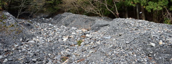 写真1 井戸谷登山口付近、右奥に標識が見える 写真1 井戸谷登山口付近