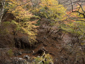 写真3 井戸谷の紅葉 写真3 井戸谷の紅葉
