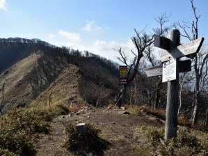 写真2 イハイガ岳分岐から綿向山を振り返る 写真2 イハイガ岳分岐から綿向山を振り返る