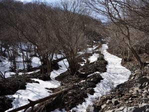 写真1 井戸谷 写真1 井戸谷