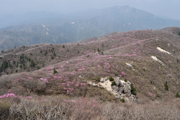 写真9 国見岳山頂北面 写真9 国見岳山頂北面