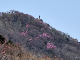 写真7 御在所岳望湖台 写真7 御在所岳望湖台
