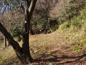 写真2 みろく山道登山口付近 写真2 みろく山道登山口付近