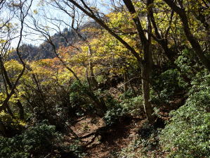 写真4 岩ヶ峰山名板の手前にて 写真4 岩ヶ峰山名板の手前にて