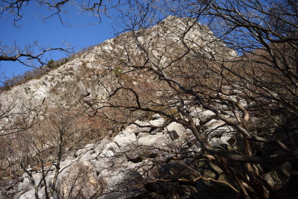 写真7 鎌ヶ岳南面と崩壊地帯 写真7 鎌ヶ岳南面と崩壊地帯
