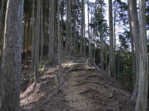 写真2 長峰への登り 写真2 長峰への登り