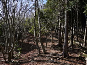 写真4 長峰 写真4 長峰