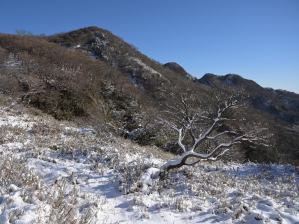 写真3 県境尾根 写真3 県境尾根