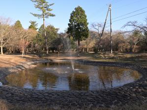 写真10 余野公園の噴水とひょうたん形の池 写真10 余野公園の噴水とひょうたん形の池