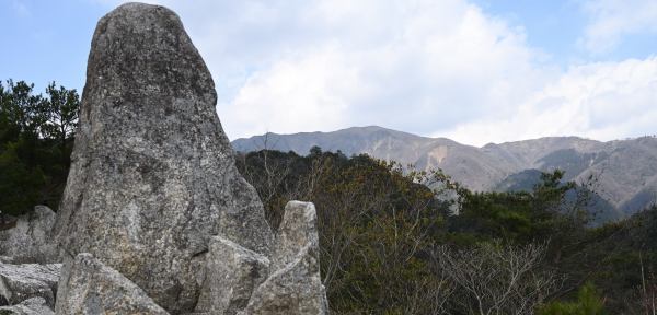 写真1 砂山から竜ヶ岳 写真1 砂山から竜ヶ岳