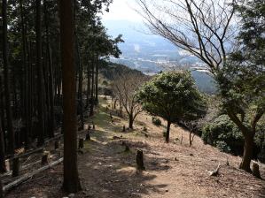写真14 旗山へ下る 写真14 旗山へ下る