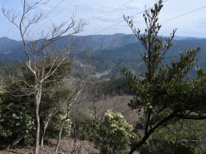 写真13 旗山から大杣池方面 写真15 旗山から大杣池方面