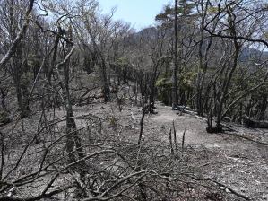 写真6 鎌ヶ岳-雲母峰尾根 写真6 鎌ヶ岳-雲母峰尾根