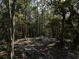 写真9 P606 写真9 P606