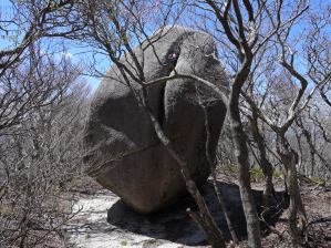 写真5 桃岩 写真5 桃岩