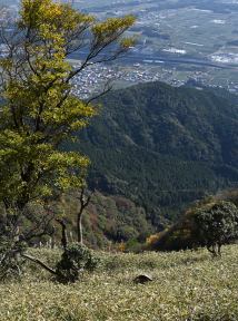 写真7 オオハゲ頂部 写真7 オオハゲ頂部