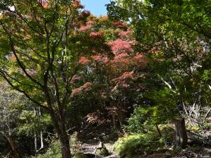写真8 イシグラ 写真8 イシグラ