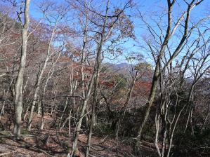 写真1 ブナ清水への道 写真1 ブナ清水への道
