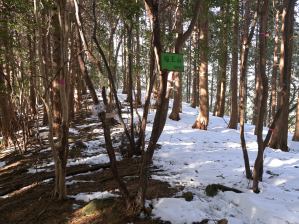 写真4 福王山山頂 写真4 福王山山頂