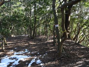 写真7 笠岳山頂 写真7 笠岳山頂