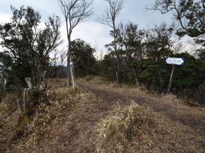写真5 溝干山 写真5 溝干山