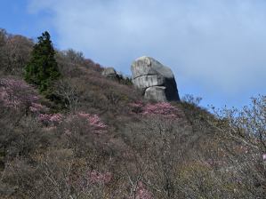 写真4 国見岳北面の県境尾根にて 写真4 国見岳北面の県境尾根にて