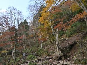 写真1 根ノ平峠への登り 写真1 根ノ平峠への登り