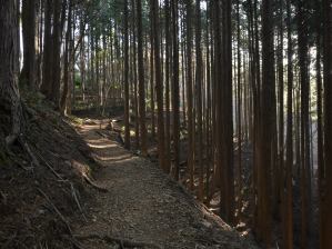 写真2 表参道六合目過ぎ 写真2 表参道六合目過ぎ