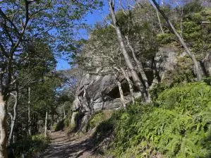写真2 行者岩 写真2 行者岩