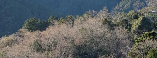 写真写真11 大黒山と東屋 写真11 大黒山と東屋