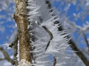 写真3 八合目付近にて 写真3 八合目付近にて